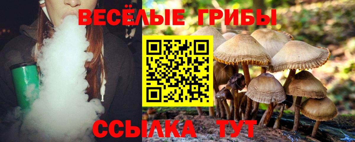 Галлюциногенные грибы MAGIC MUSHROOMS  Вход с VPN  Чита 