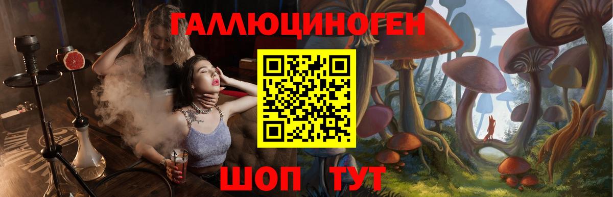 Галлюциногенные грибы Psilocybe Чита